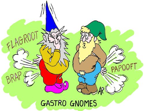 Gastro Gnomes