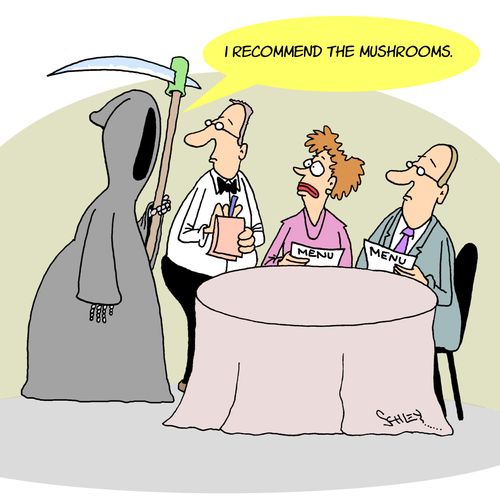 "I recommend the mushrooms."