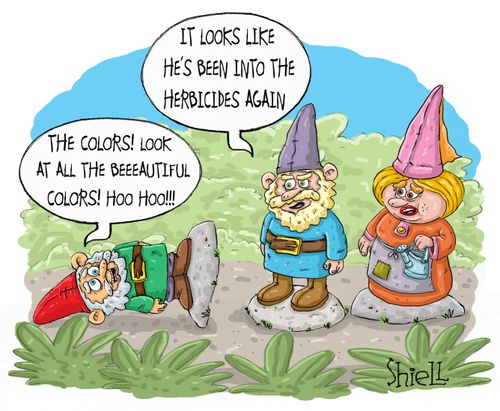 Gnome Druggie
