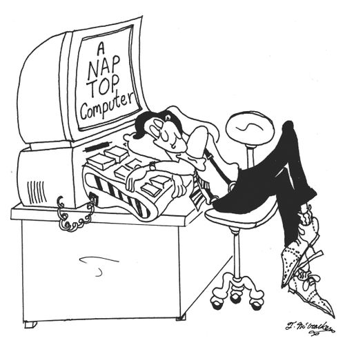 A Nap Top Computer