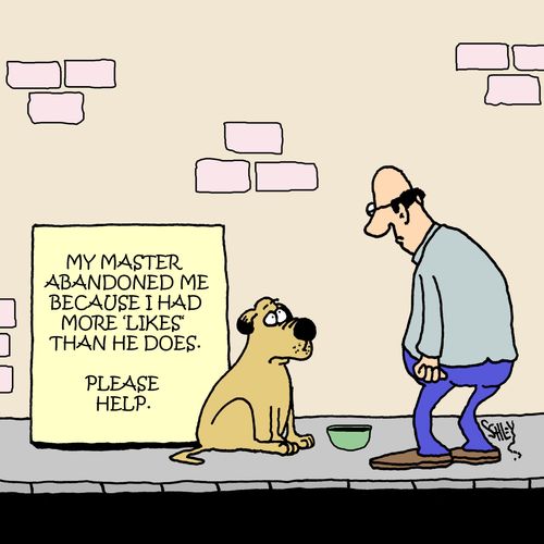 My master abandoned me because I had more 'likes' than he does. Please help.