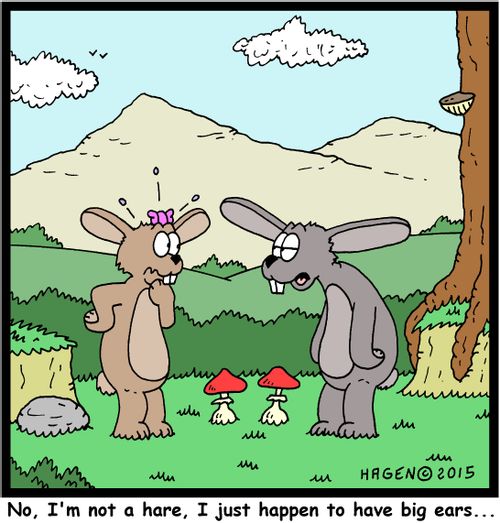 "No, I'm not a hare, I just happen to have big ears..."
