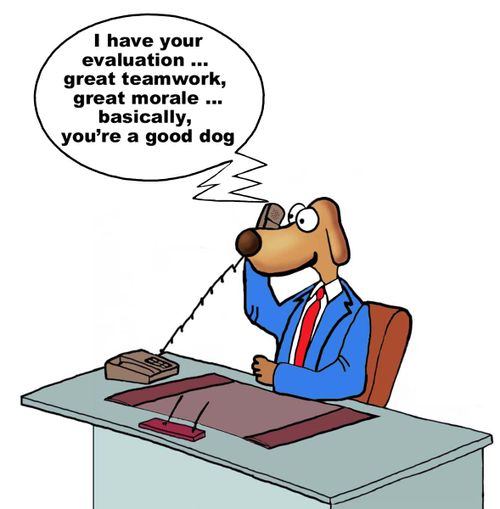 "I have your evaluation...great teamwork, great morale...basically, you're a good dog."