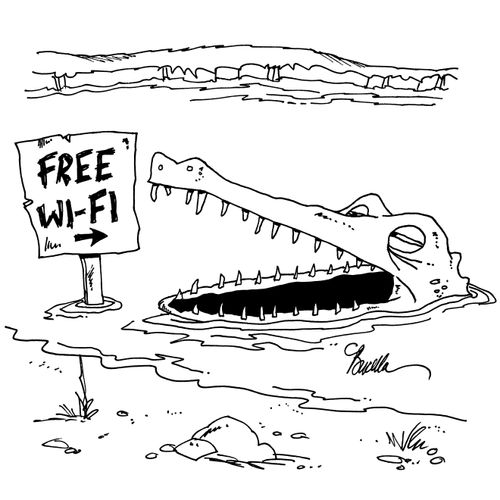 Crocodile offers free wi-fi