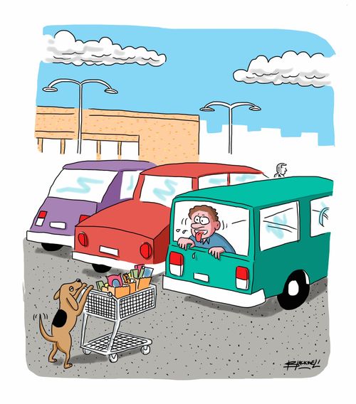Man and dog role reversal