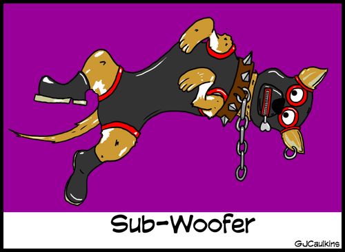 sub woofer