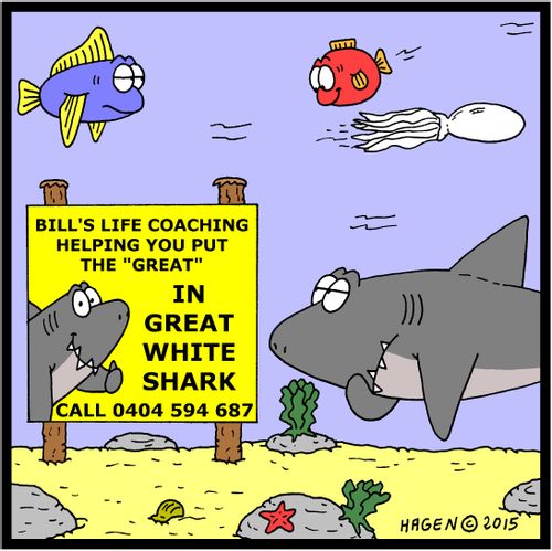 Bill's life coaching, helping you put the "Great" in Great White Shark.