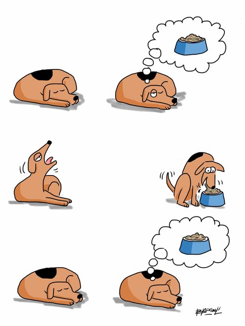 Dog dreams of dinner.