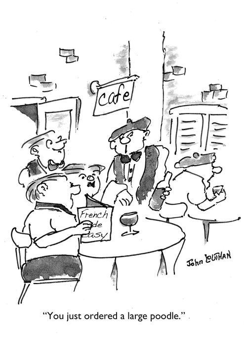 "You just ordered a large poodle."