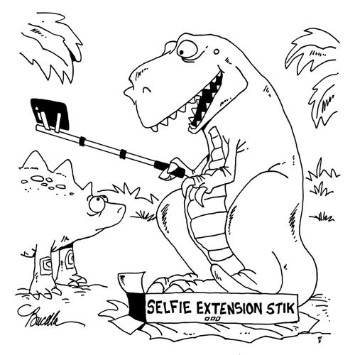 Selfie Extension Stik