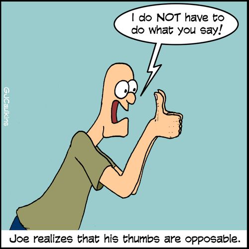 Joe realized that his thumbs are opposable.