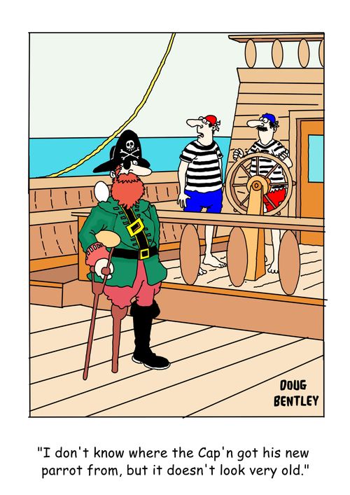 "I don't know where the Cap'n got his new parrot from, but it doesn't look very old."