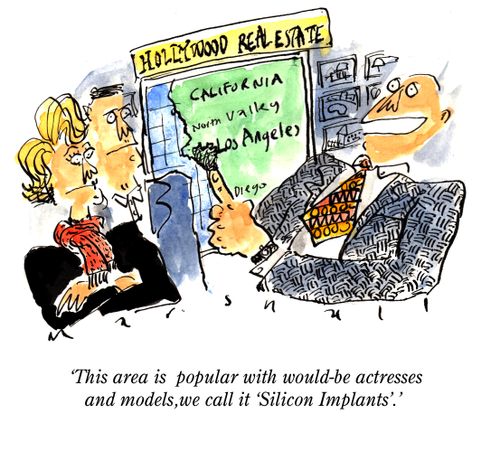 "This area is  popular with would-be actresses and models,we call it 'Silicon Implants'."