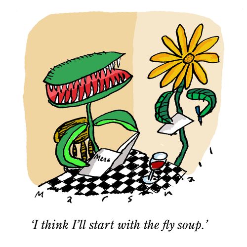 "I think I'll start with the fly soup."