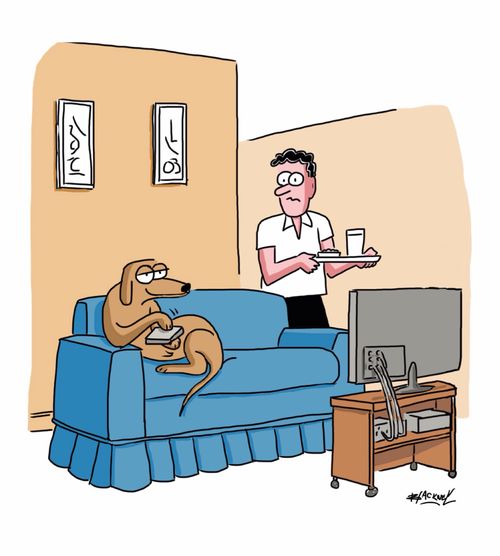 Dog controlling TV