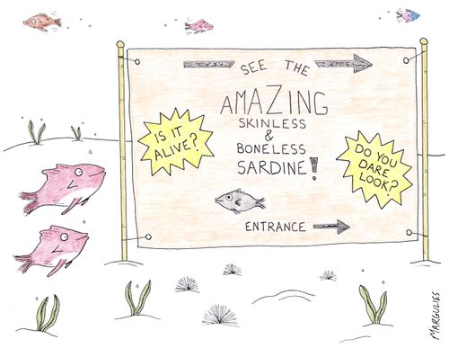 The amazing skinless and boneless sardine.