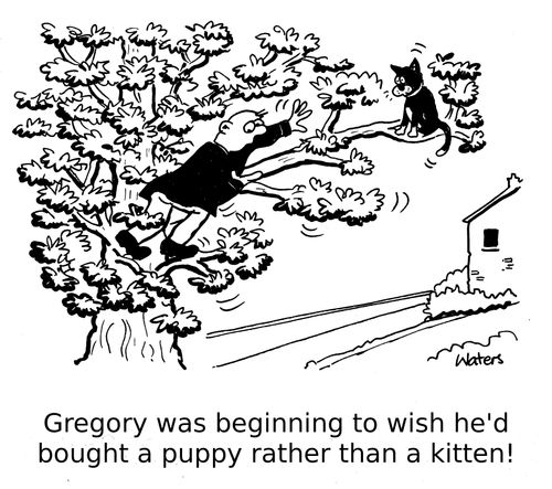 Gregory was beginning to wish he'd bought a puppy rather than a kitten!