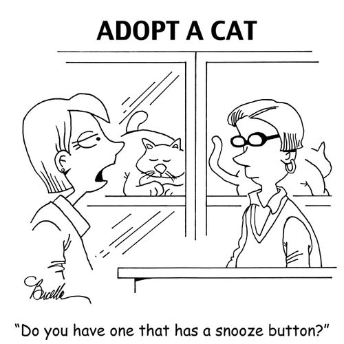 "Do you have one that has a snooze button?"
