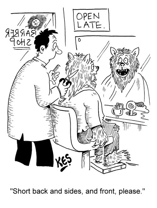 "Short back and sides, and front, please."