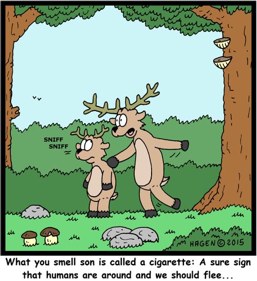 "What you smell son is called a cigarette: A sure sign that humans are around and we should flee..."