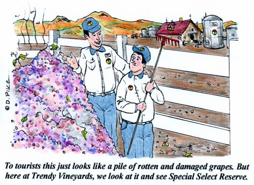 "To tourists this just looks like a pile of rotten and damaged grapes. But here at Trendy Vineyards, we look at it and see Special Select Reserve."