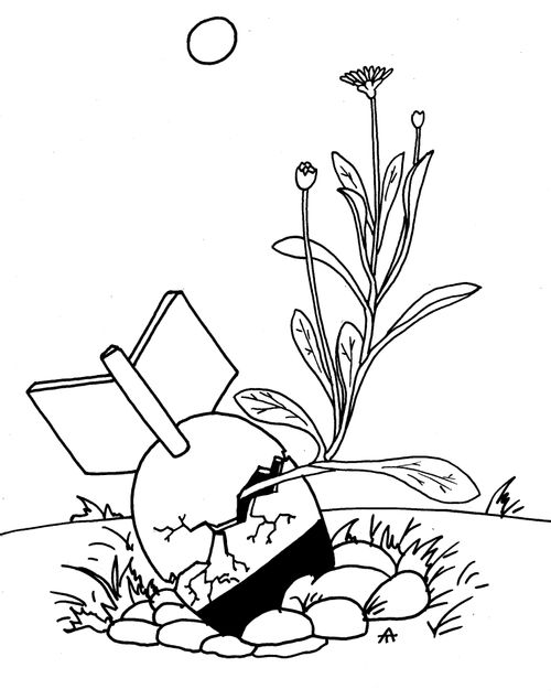 Flower growing from a bomb.