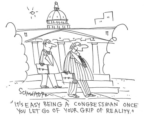 "It's easy being a congressman once you let go of your grip of reality."