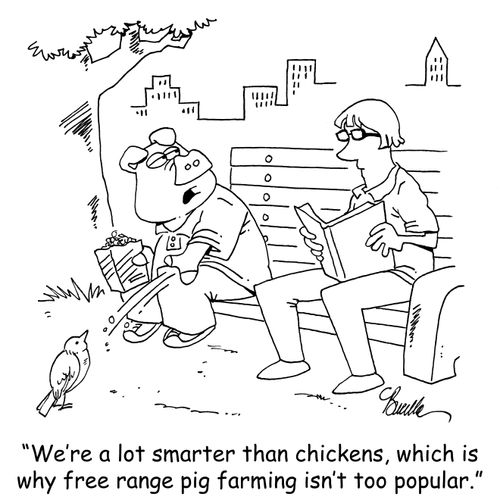 "We're a lot smarter than chickens, which is why free range pig farming isn't too popular."