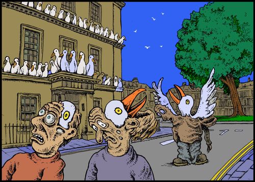 Seagull problems