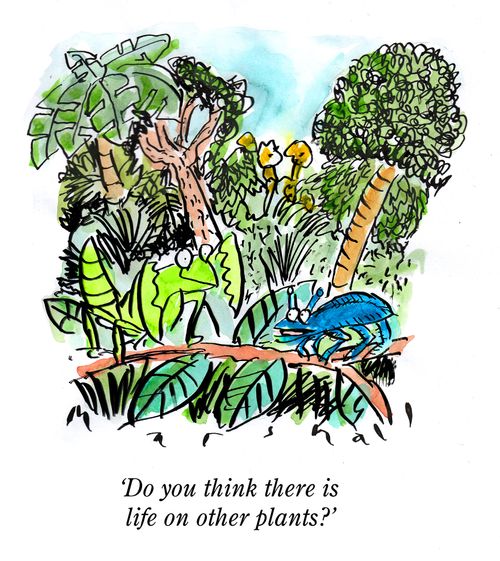 "Do you think there is life on other plants?"