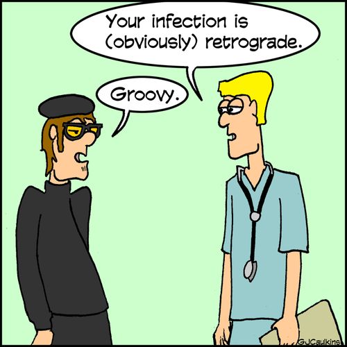 "Your infection is (obviously) retrograde."