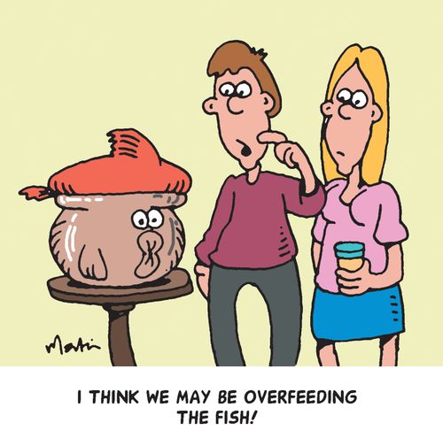 "I think we are overfeeding the fish!"