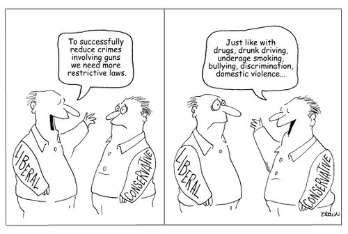 "To successfully reduce crimes involving guns we need more restrictive laws."