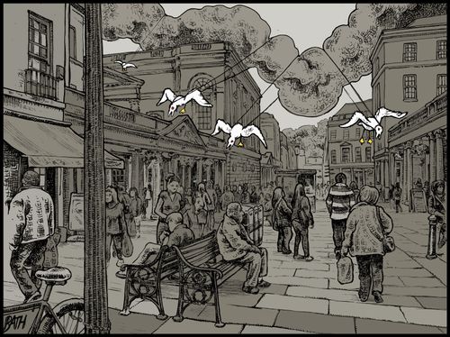 Birds bringing a cold front into Bath Centre