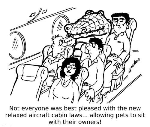 Not everyone was best pleased with the new relaxed aircraft cabin laws...allowing pets to sit with their owners!