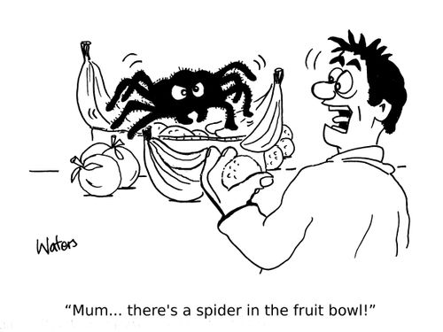 "Mum...there's a spider in the fruit bowl!"