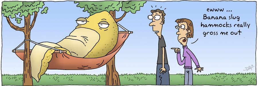 "Ewww....Banana slug hammocks really cross me out."