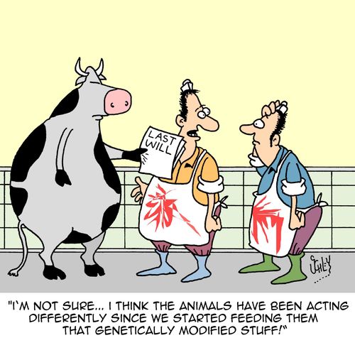"I'm not sure...I think the animals have been acting differently since we started feeding them that genetically modified stuff!"