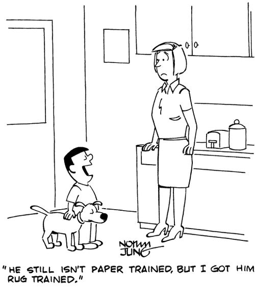 "He still isn't paper trained, but I got him rug trained."