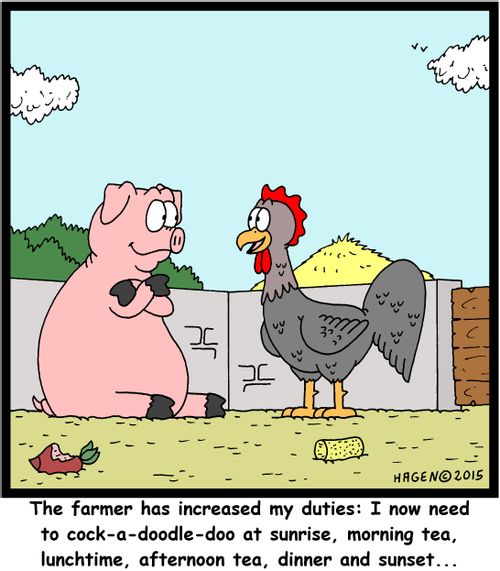 "The farmer has increased my duties: I now need to cock-a-doodle-doo at sunrise, morning tea, lunchtime, afternoon tea, dinner and sunset..."