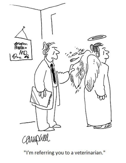 "I'm referring you to a veterinarian."