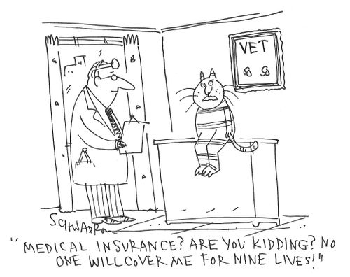 "Medical insurance? Are you kidding? No one will cover me for nine lives!"
