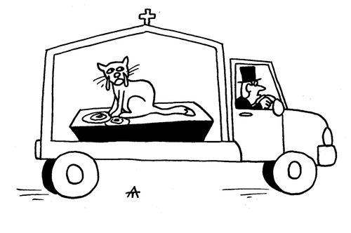 Cat in Hearse