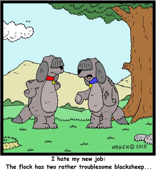 "I hate my new job: The flock has two rather troublesome blacksheep..."