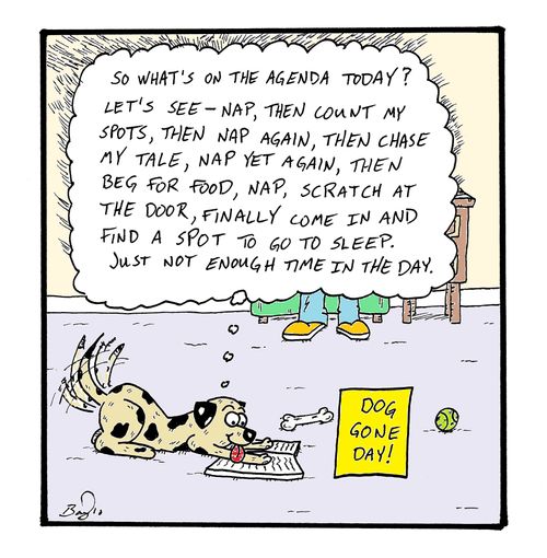 "So what's on the agenda today? Let's see--nap, then count my spots, then nap again, then chase my tale, nap yet again, then beg for good, nap, scratch at the door, finally come in and find a spot to go to sleep.  Just not enough time in the day."