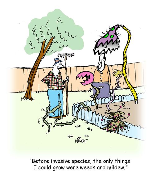 "Before invasive species, the only things I could grow were weeds and mildew."