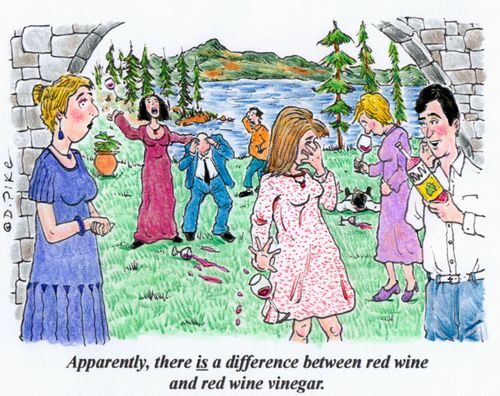 "Apparently, there is a difference between red wine and red wine vinegar."