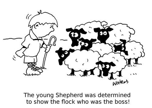 The young Shepherd was determined to show the flock who was the boss!