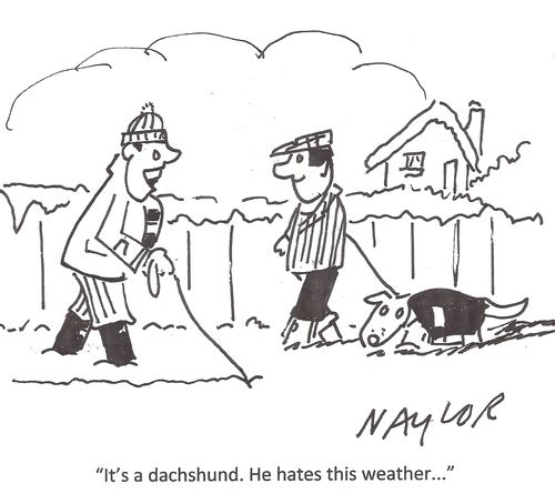 "It's a dachshund. He hates this weather...."