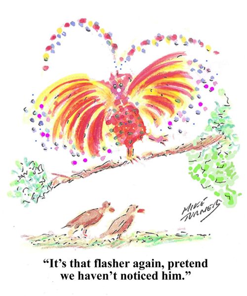 "It's that flasher...pretend we haven't noticed him."